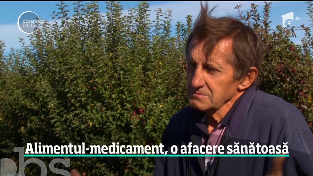Broccoli - o afacere sănătoasă care &icirc;ncepe să prindă teren şi la noi