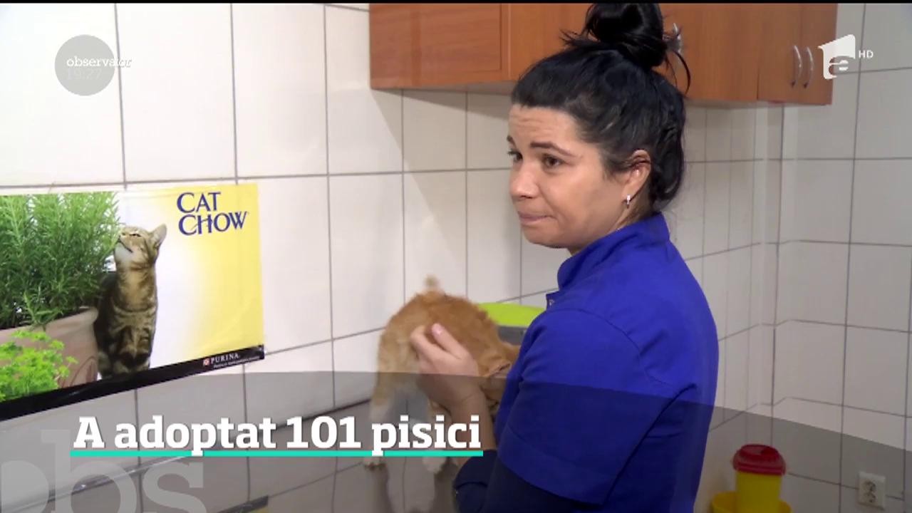 O t&acirc;nără din Călăraşi a adoptat 101 de pisici