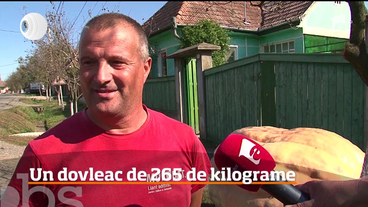 265 de kilograme, at&acirc;t c&acirc;ntărește cel mai mare dovleac din Rom&acirc;nia