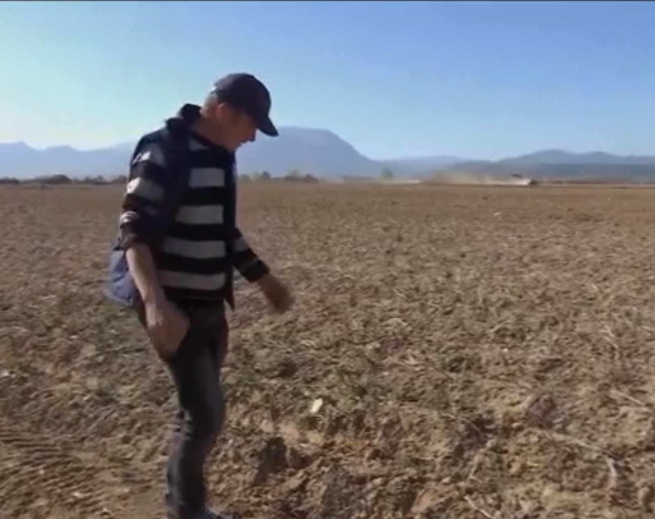 Cartofii sunt mai puţini &icirc;n acest an. Ce preţuri vom avea pe tarabe