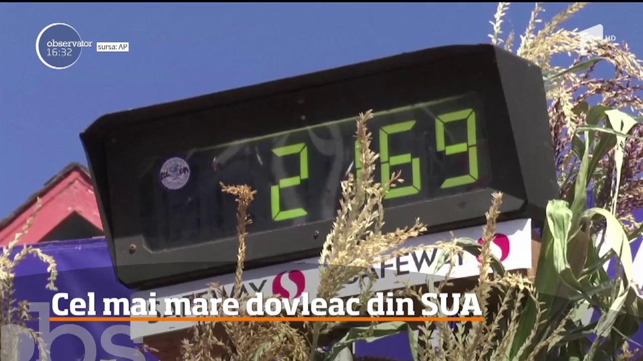 Aproape o tonă, at&acirc;t c&acirc;ntărește cel mai mare dovleac din SUA