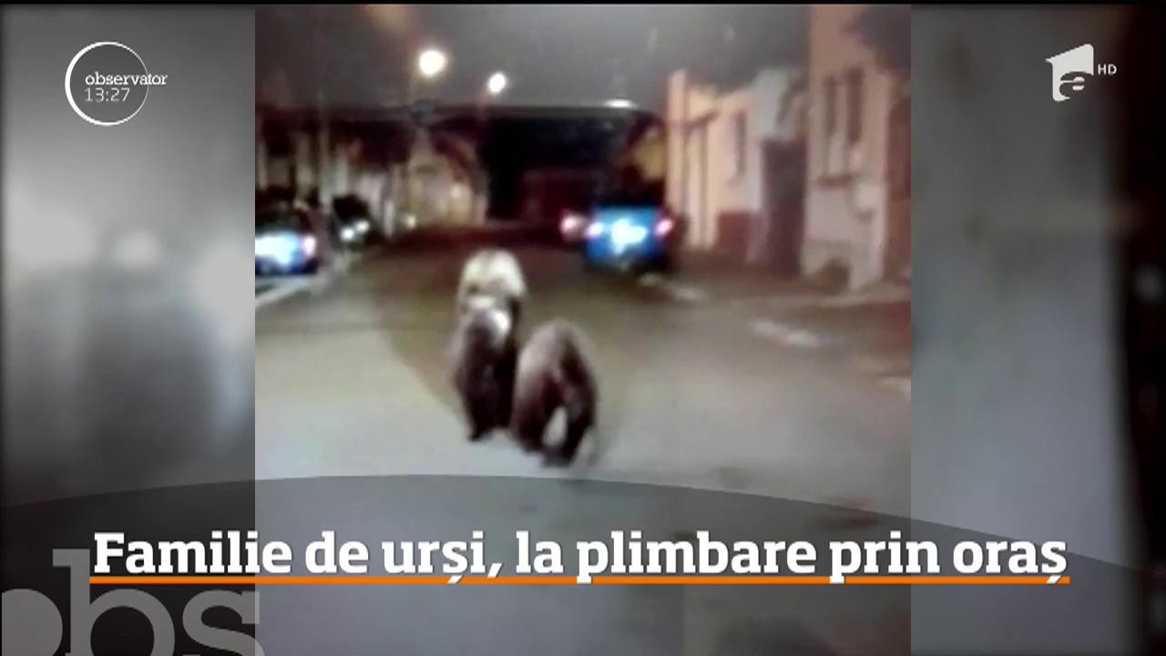 Imagini devenite parcă o obişnuinţă au fost filmate &icirc;n Făgăraş