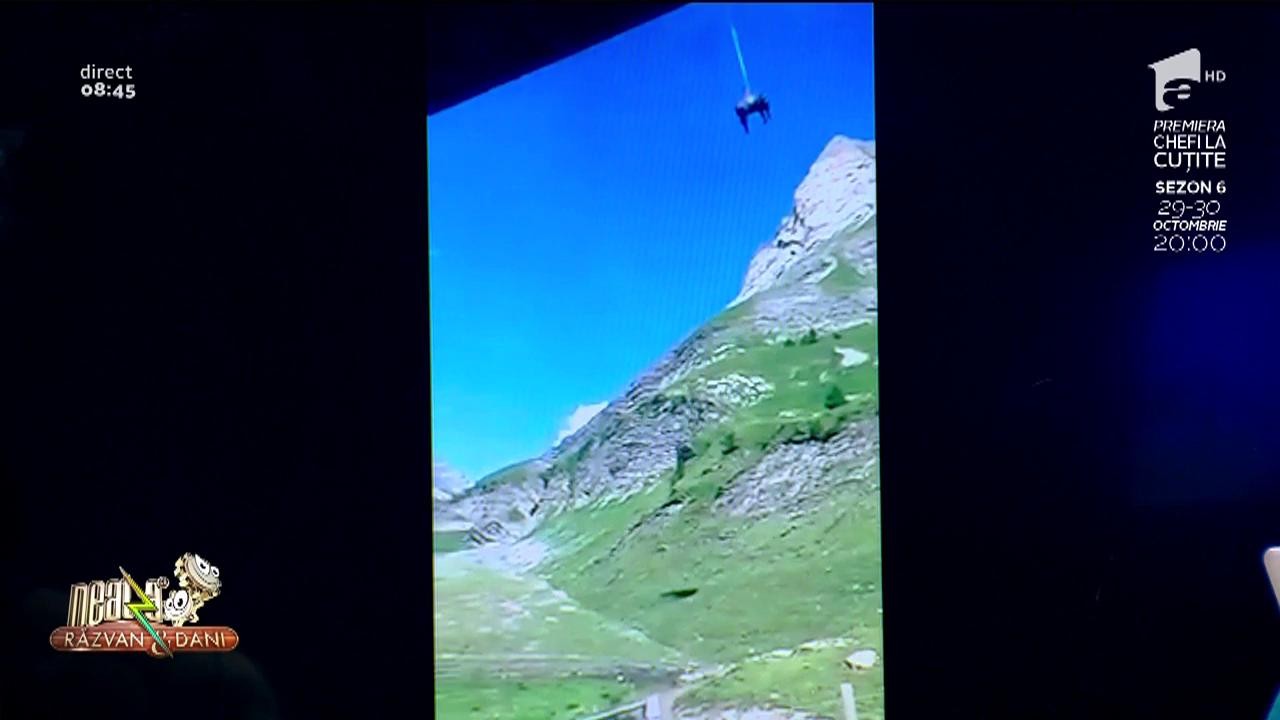 Smiley news! Cum se face transhumanță modernă, &icirc;n Elveția: Vaca este adusă cu elicopterul