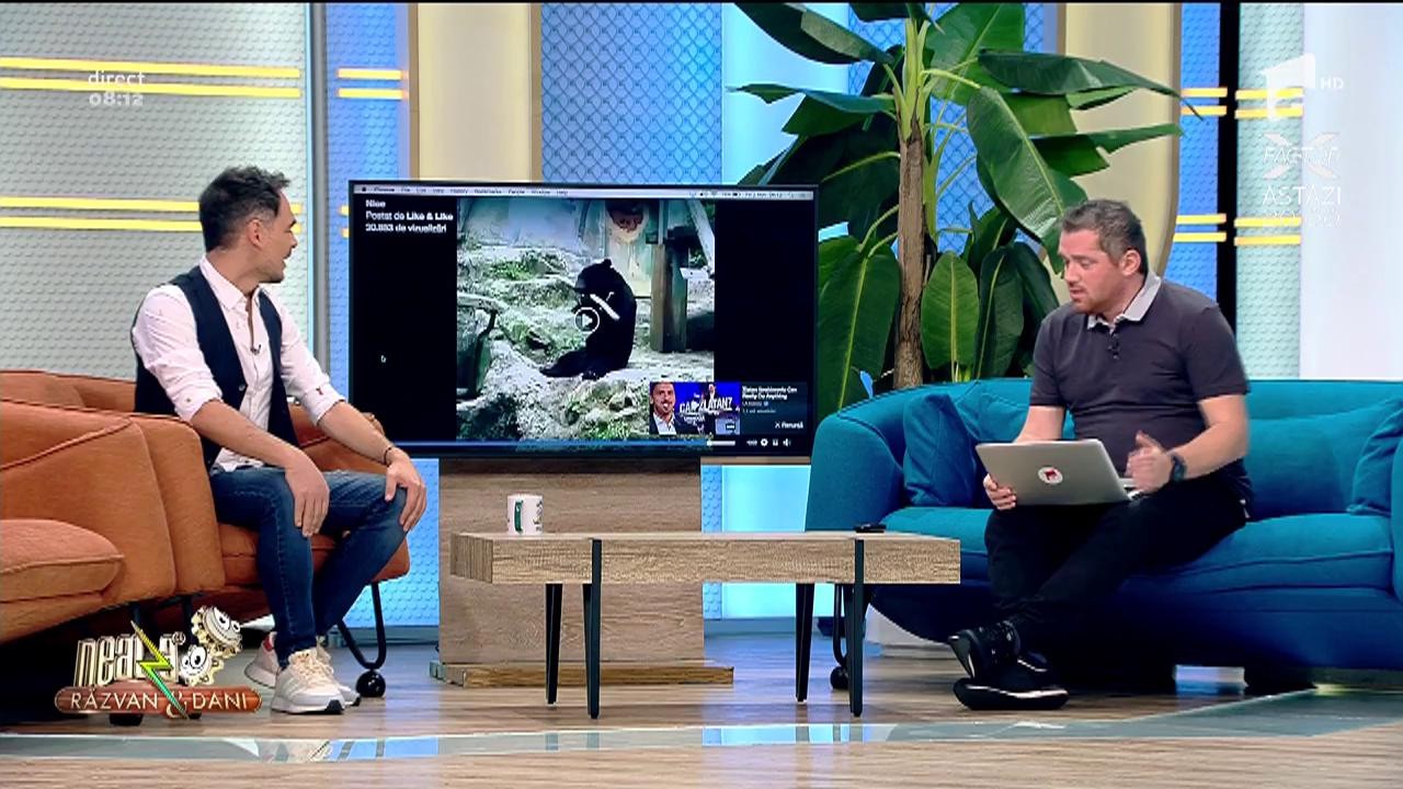 Smiley News! Ursul ninja! Așa arată cele mai tari mișcări de karate