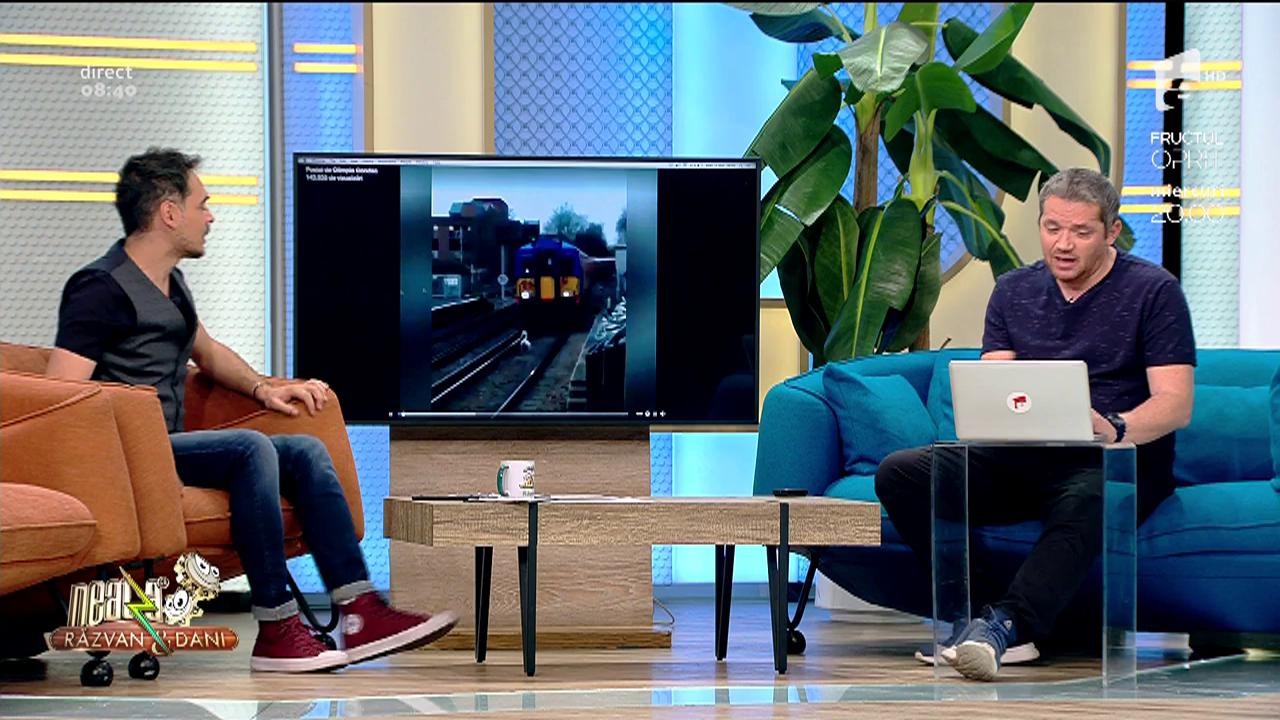 Smiley News. Lebeda dintre șine, motivul pentru care &icirc;nt&acirc;rzie trenurile &icirc;n Rom&acirc;nia