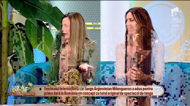Festivalul Internațional de Tango Argentinian Milongueros, concept cu totul original de spectacol de tango