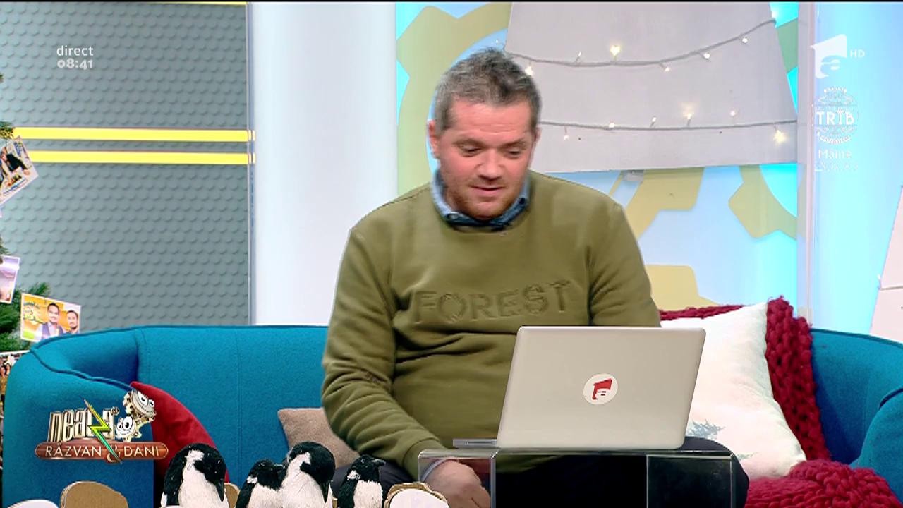 Smiley News. Marmotele c&acirc;ntă la orgă o melodie frumoasă și cunoscută