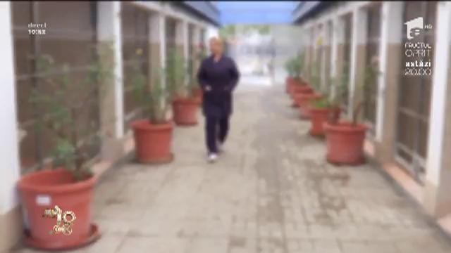 Pleci &icirc;n vacanță? Unde &icirc;ți poți lăsa animalul de companie