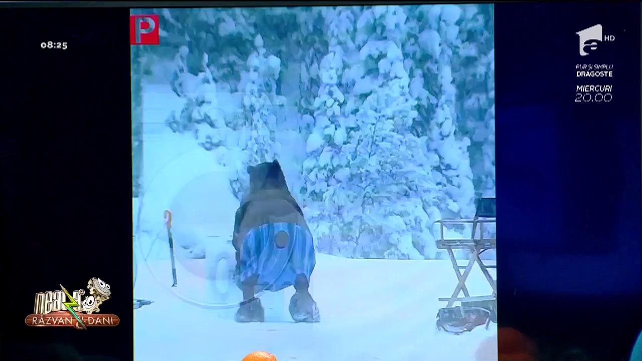 Smiley News. Ursul &icirc;și spală blana la maşina de spălat