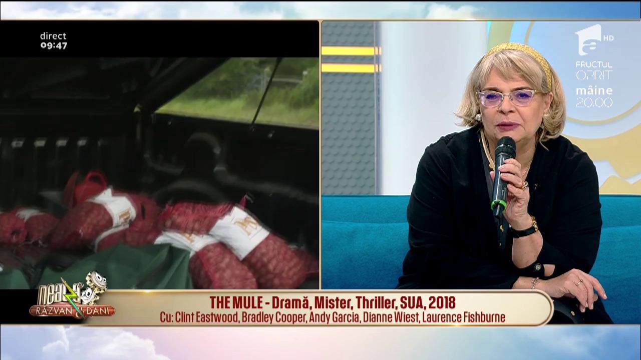Cronica filmelor care trebuie vizionate: &rdquo;The house that Jack Built&rdquo;, &rdquo;The Mule&rdquo; și &rdquo;Bumblebee&rdquo;