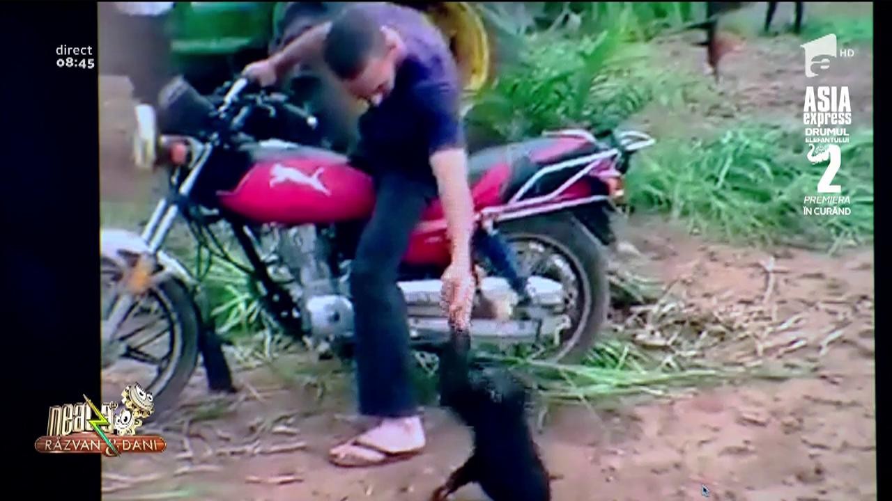 Smiley News. Maimuța care pl&acirc;nge ca un copil mic