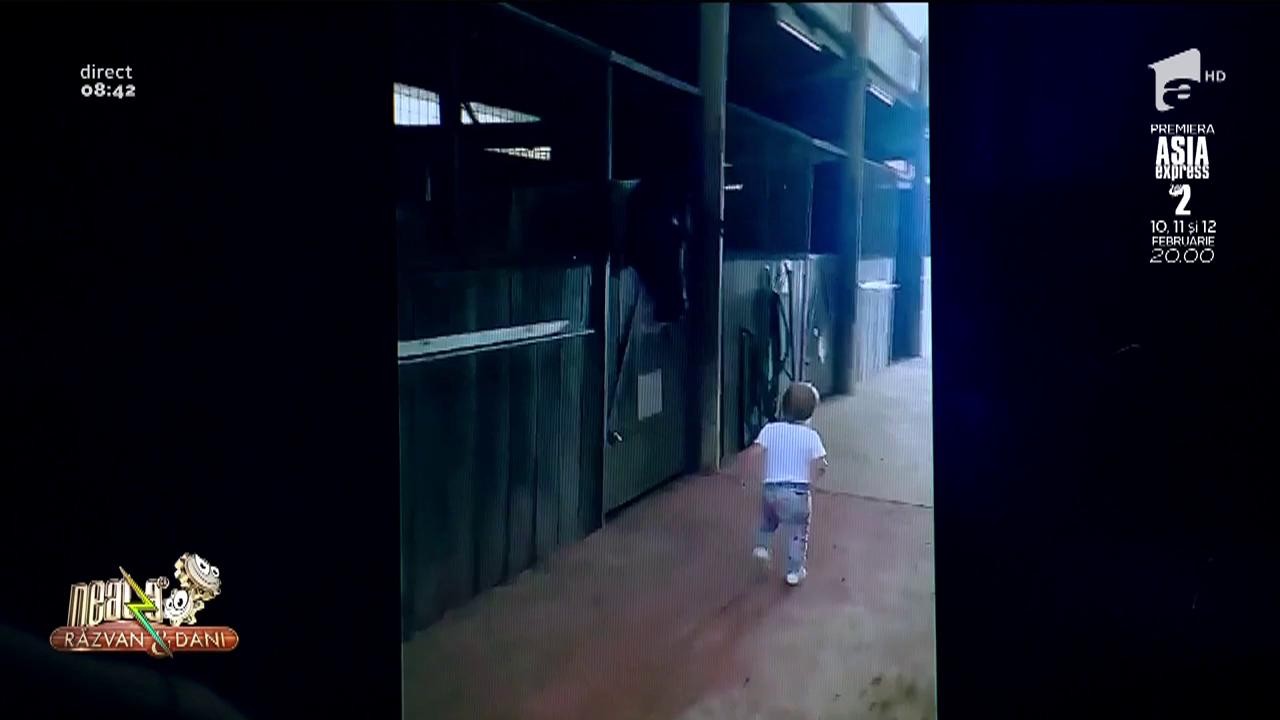 Smiley News. O fetiță pupă toți caii de la o herghelie