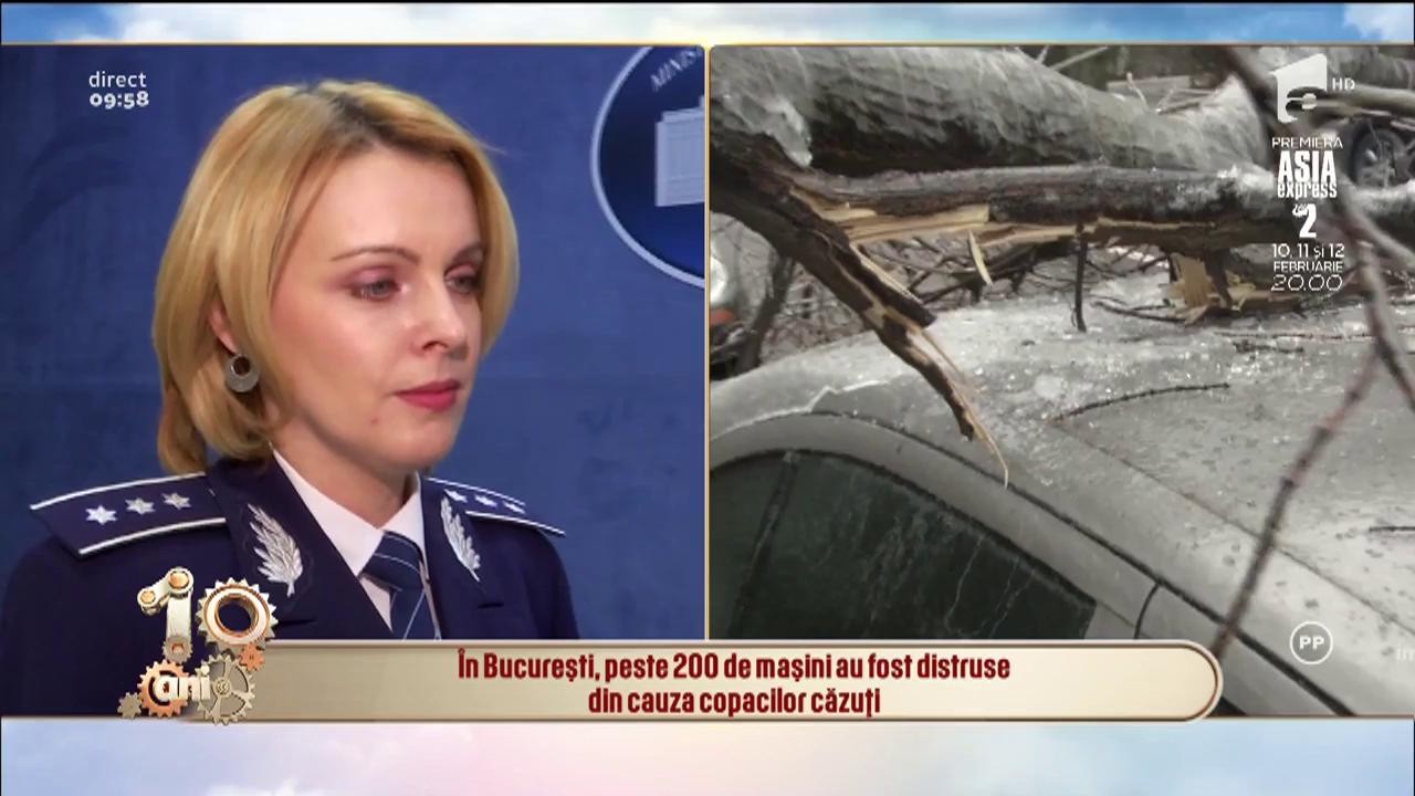Ploaia &icirc;nghețată a făcut dezastru &icirc;n București. Peste 200 de mașini au fost distruse din cauza copacilor căzuți