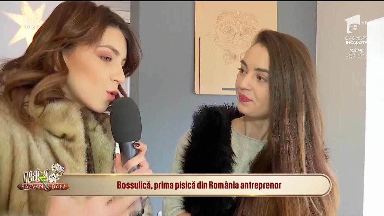 Bossulică, prima pisică din Rom&acirc;nia antreprenor