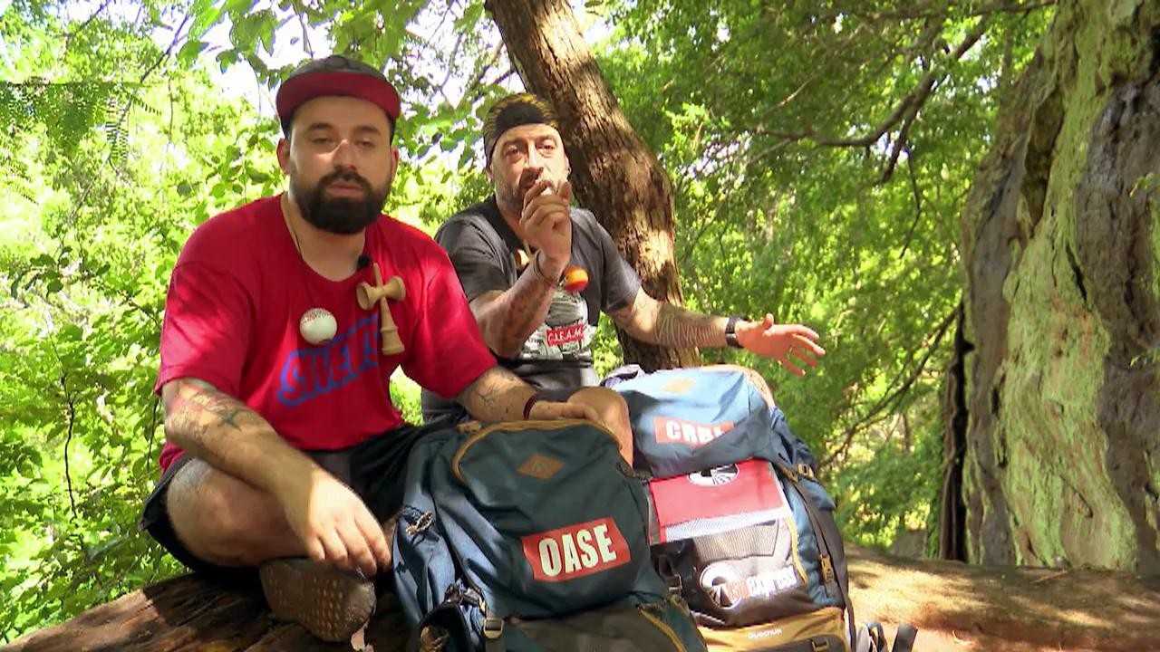 Reptilele și g&acirc;ndacii, &icirc;n pat cu vedetele: "Eu nu mai stau aici"