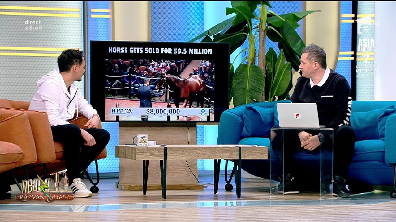 Smiley News. Un cal a fost v&acirc;ndut cu 9.5 milioane de dolari