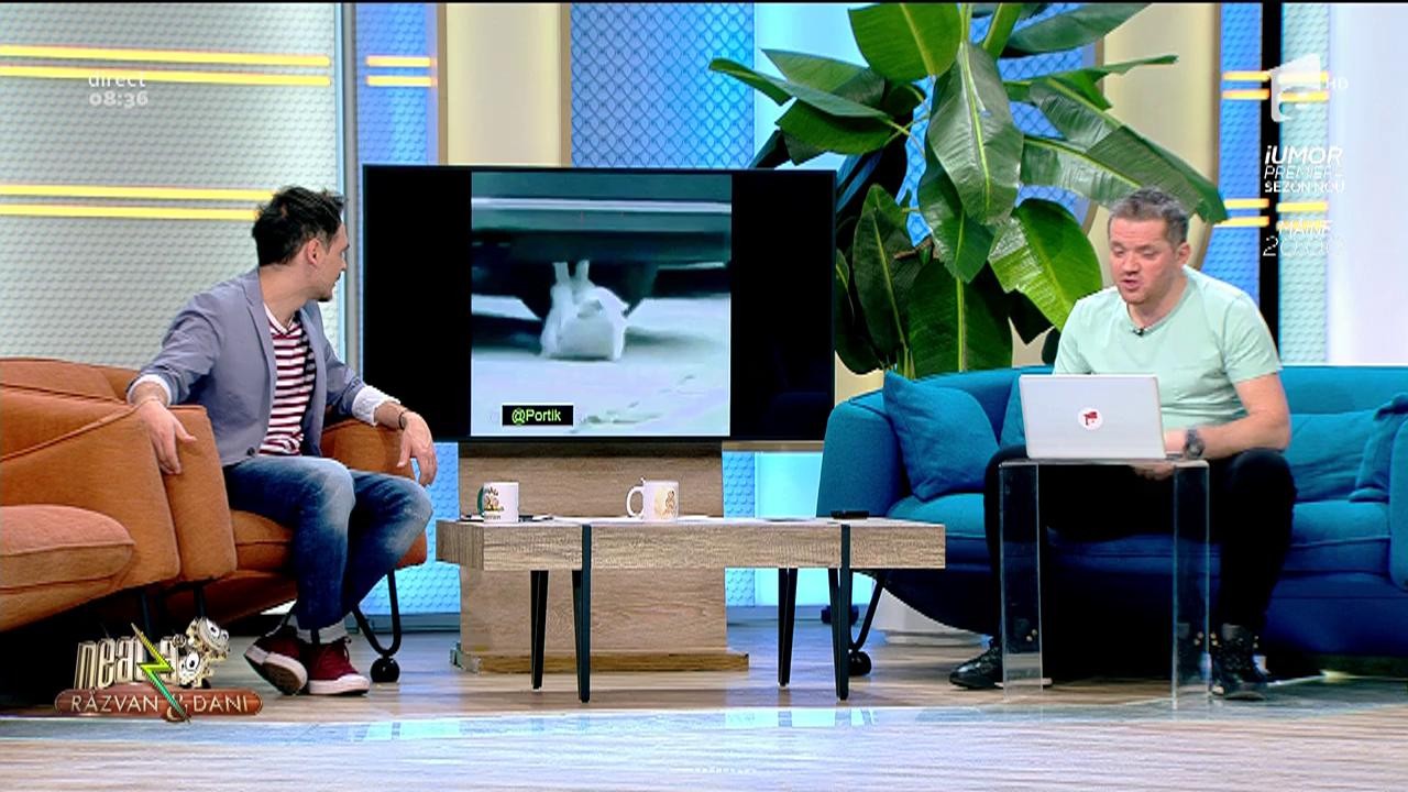 Smiley New. Așa arată Cristiano Ronaldo al pisicilor, face 3000 de abdomene pe zi!