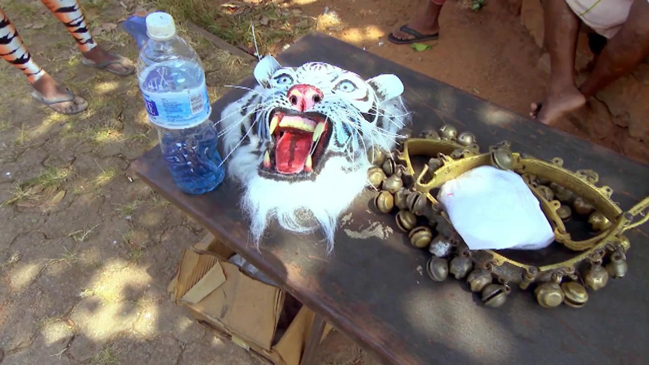 Dansul tigrului, proba care l-a șocat pe Șerban Copoț: &rdquo;A fost foarte ciudat. A trebuit să-l desenez pe sf&acirc;rc...&rdquo;