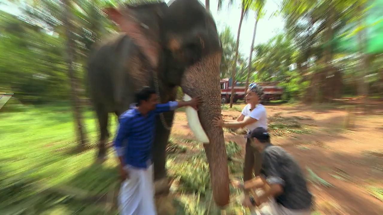 Concurenții hrănesc cu banane elefanți, spre bucuria lor. Jojo: &rdquo;Ce drăguț este! M-a lins!&rdquo;