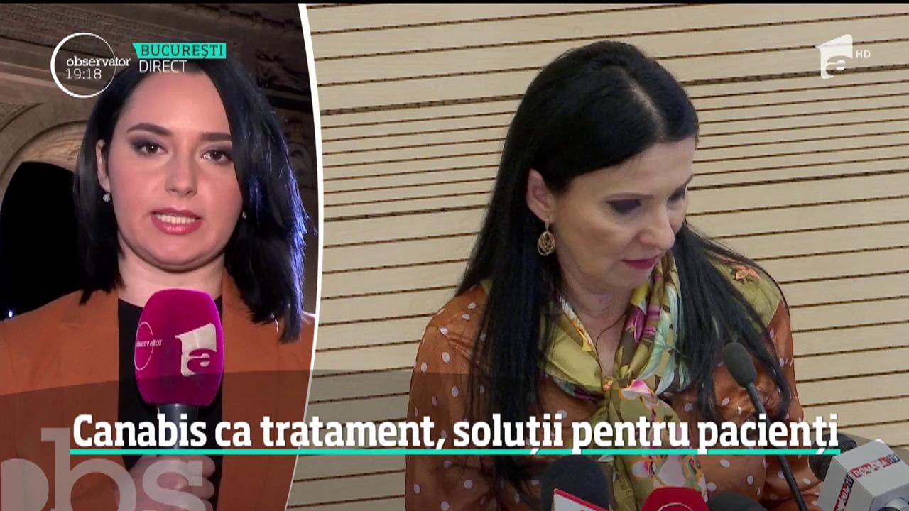 Cannabis ca tratament, soluții pentru pacienții din Rom&acirc;nia
