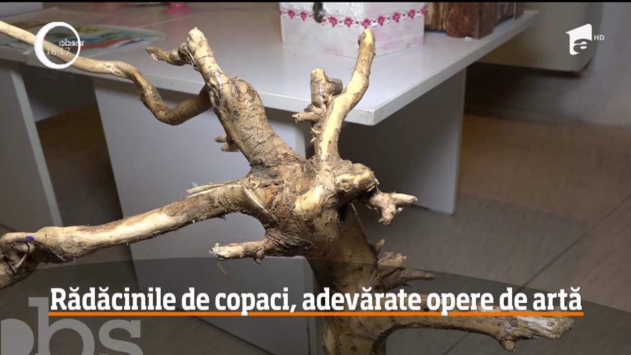 Rădăcinile de copaci, adevărate opere de artă &icirc;n m&acirc;inile unui angajat al Hidrocentralei Porţile de Fier