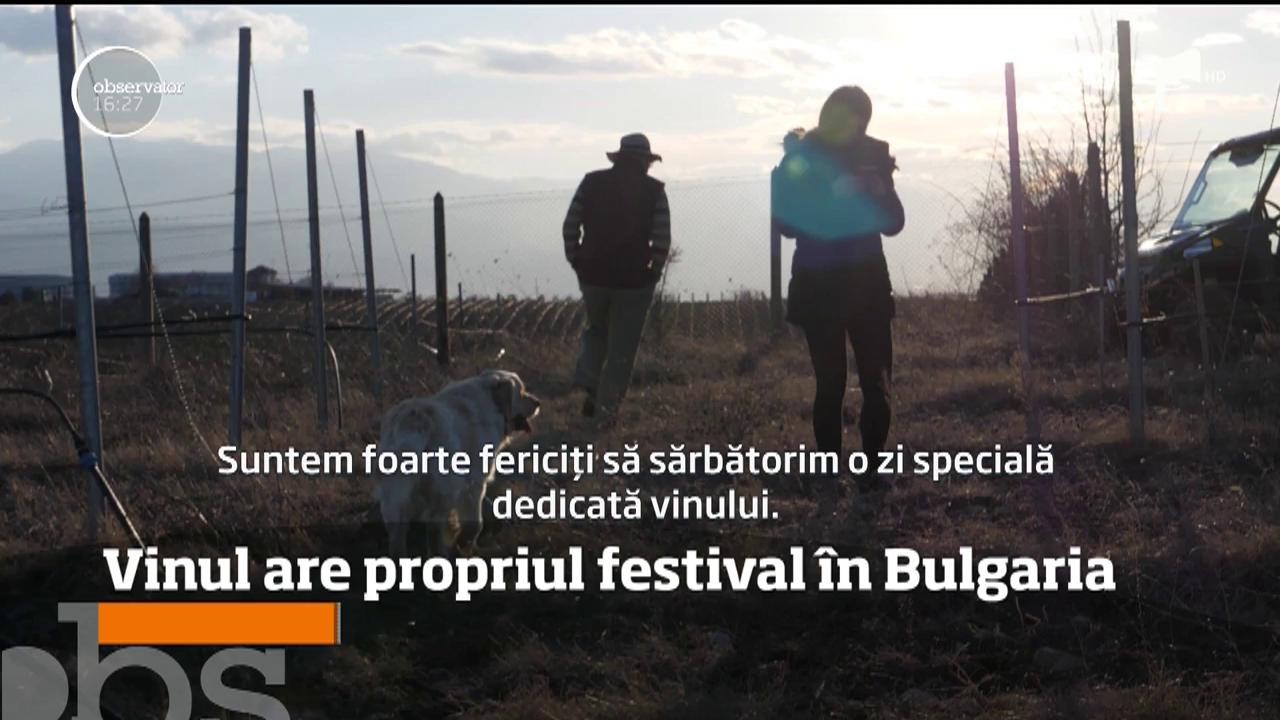Vinul roșu din regiunea Melnik, Bulgaria, are propriul festival
