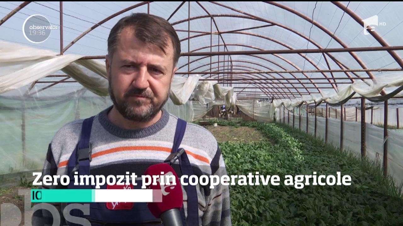 Zero impozit pentru fermierii care v&acirc;nd cel puţin jumătate din recoltă prin cooperative agricole