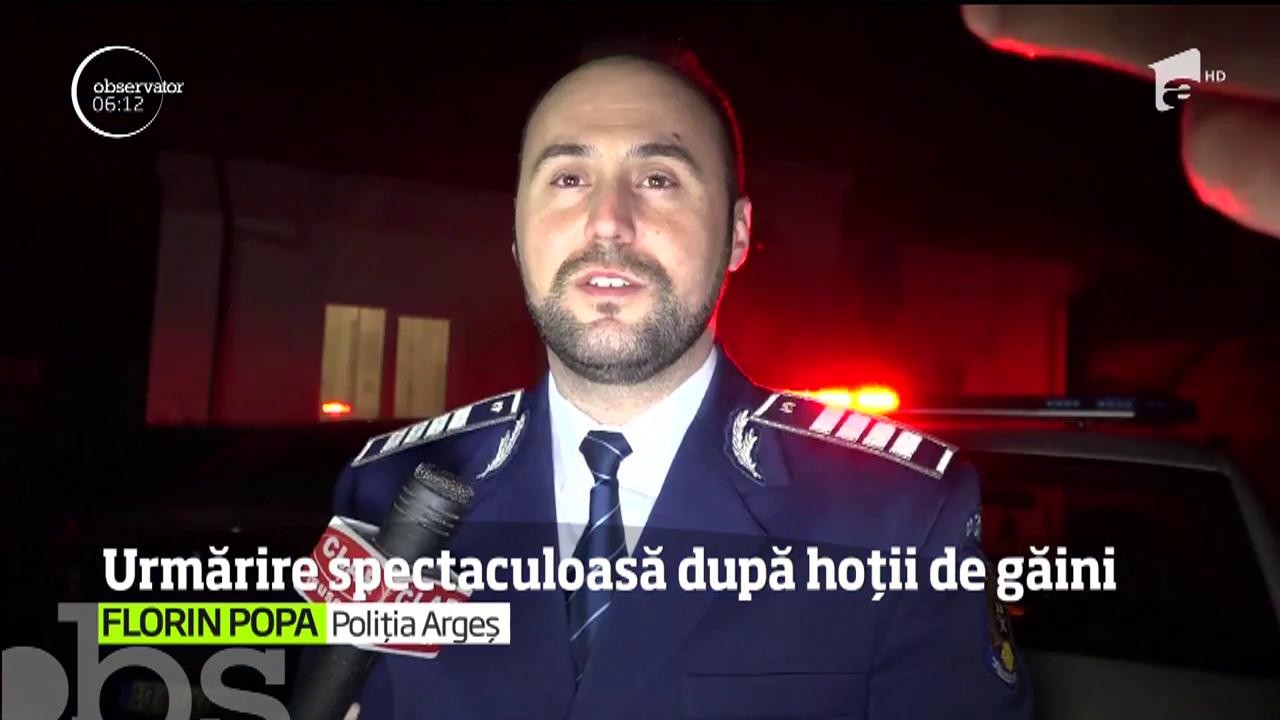 Operaţiune spectaculoasă a poliţiştilor din Argeş, pentru prinderea unei grupări specializată &icirc;n furtul de găini