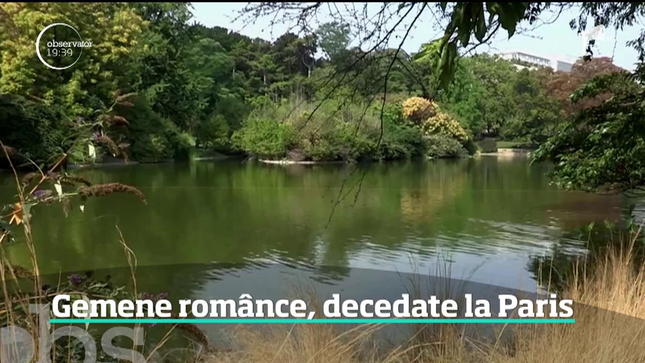 Gemene rom&acirc;nce, decedate &icirc;ntr-un lac artificial dintr-un parc din Paris
