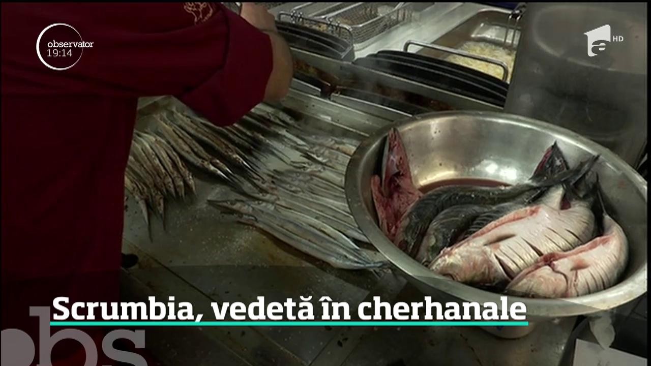 Scrumbia, vedetă &icirc;n cherhanalele de pe litoralul rom&acirc;nesc