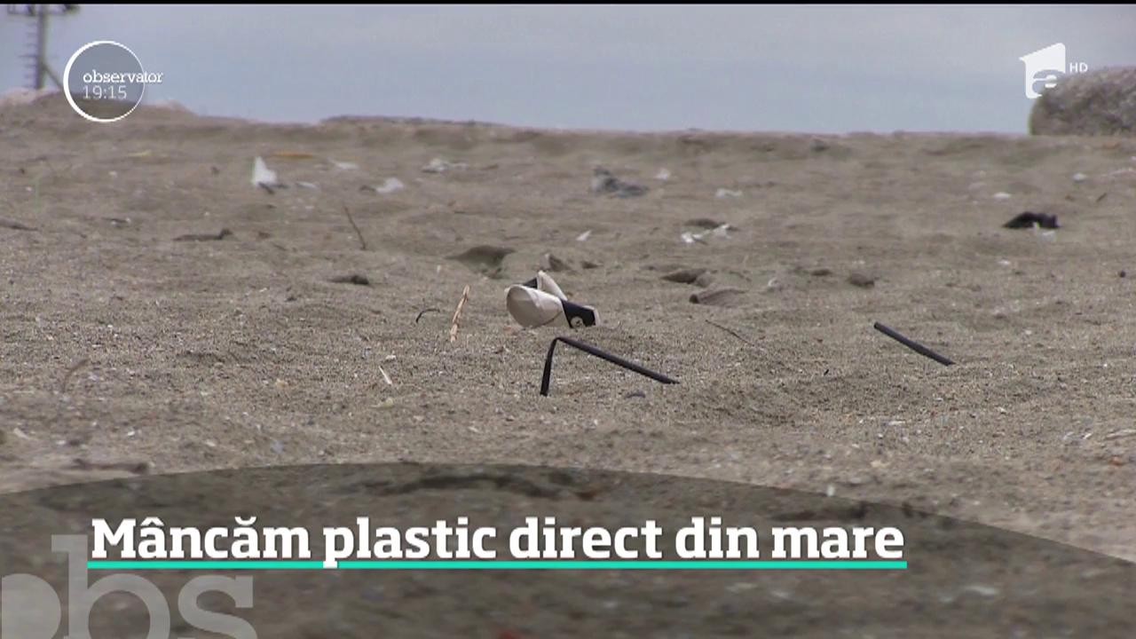 Dacă nu vă deranjează plasticul aruncat pe plajă, poate vă deranjează cel din farfurie. Speciliştii rom&acirc;ni găsesc &icirc;n peştii şi midiile din Marea Neagră tot mai multe particule toxice