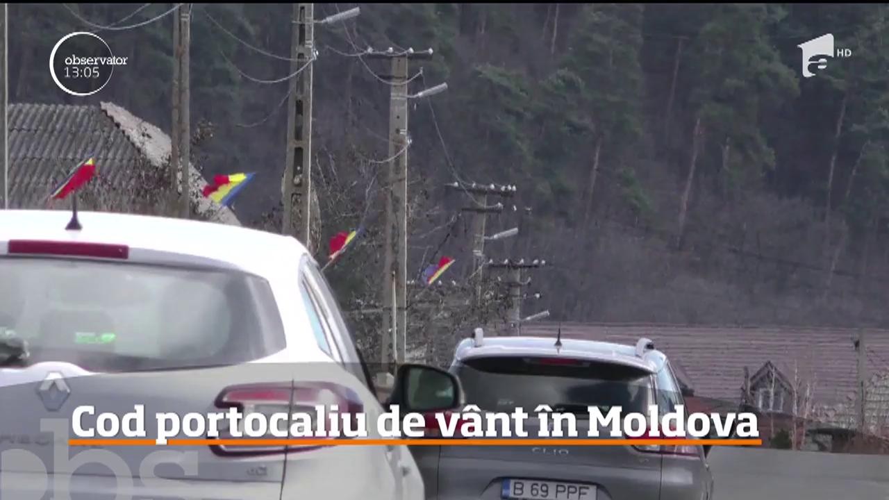 Cod portocaliu de v&acirc;nt &icirc;n Moldova