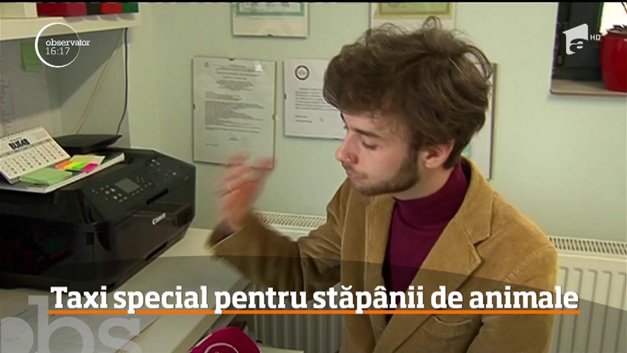 Taxi special pentru stăp&acirc;nii de animale de companie