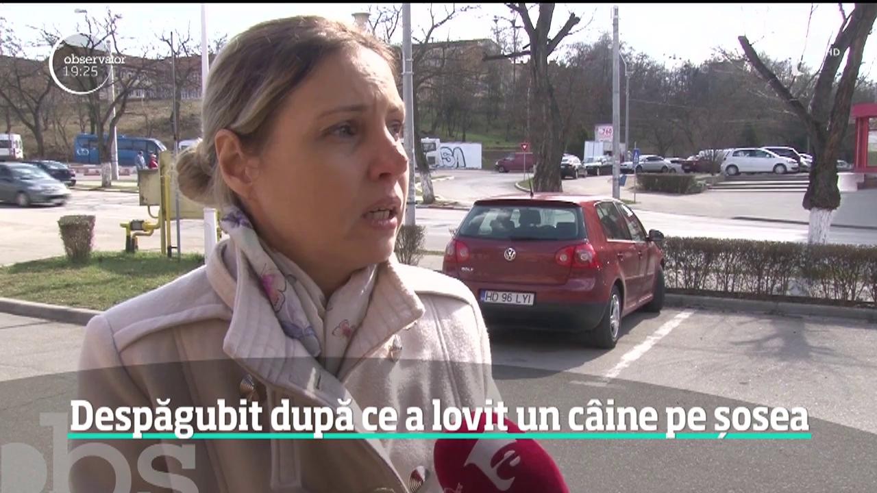 Un t&acirc;năr a &icirc;nvins statul &icirc;n instanţă şi va primi despăgubiri după ce a lovit un c&acirc;ine pe autostradă