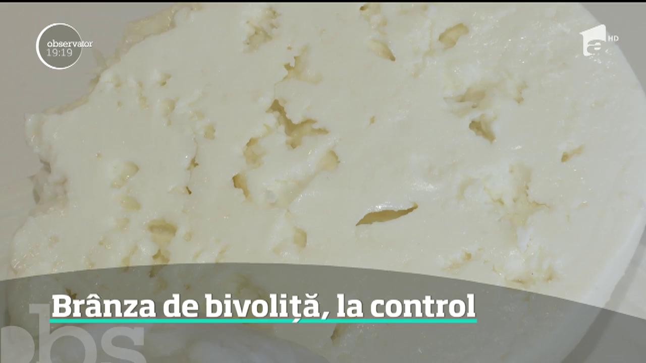 Br&acirc;nza de bivoliţă, la control!