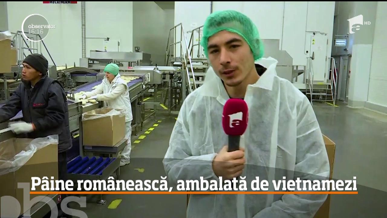 Vietnamezii au ajuns să ambaleze p&acirc;inea rom&acirc;nească