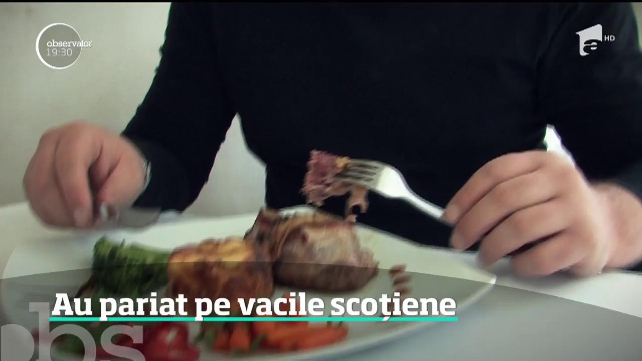 Tot mai mulţi fermieri din Rom&acirc;nia mizează pe văcuţele Black Angus