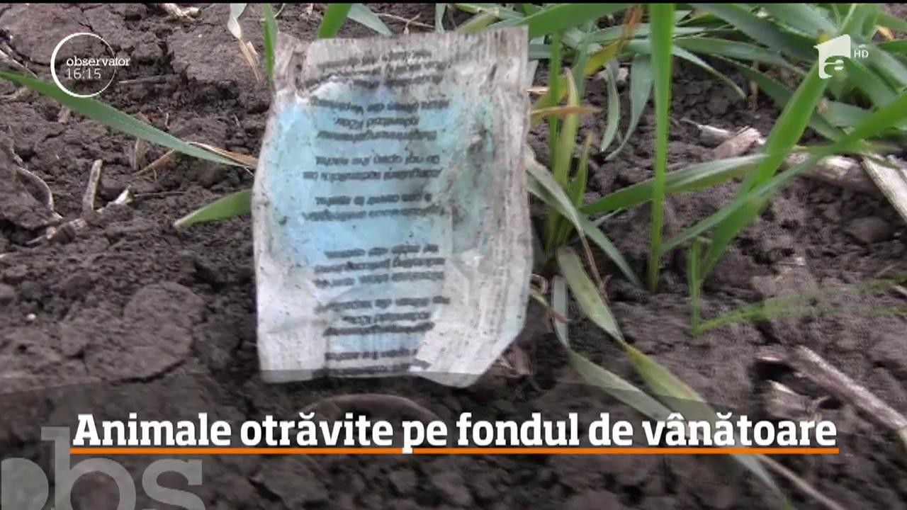 Animale otrăvite pe fondul de v&acirc;nătoare