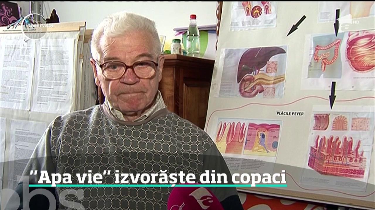 Seva mesteacănului, un medicament natural &icirc;mpotriva mai multor boli