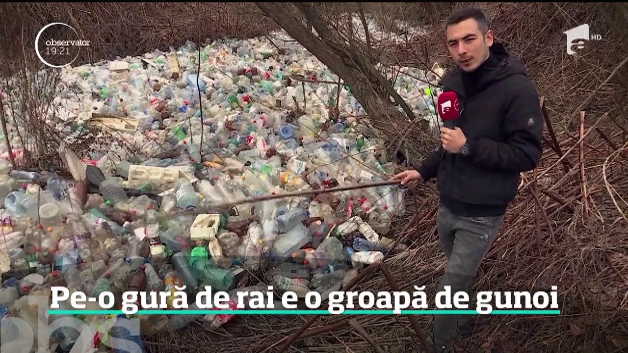 Un r&acirc;u de peturi străbate Delta din inima Transilvaniei