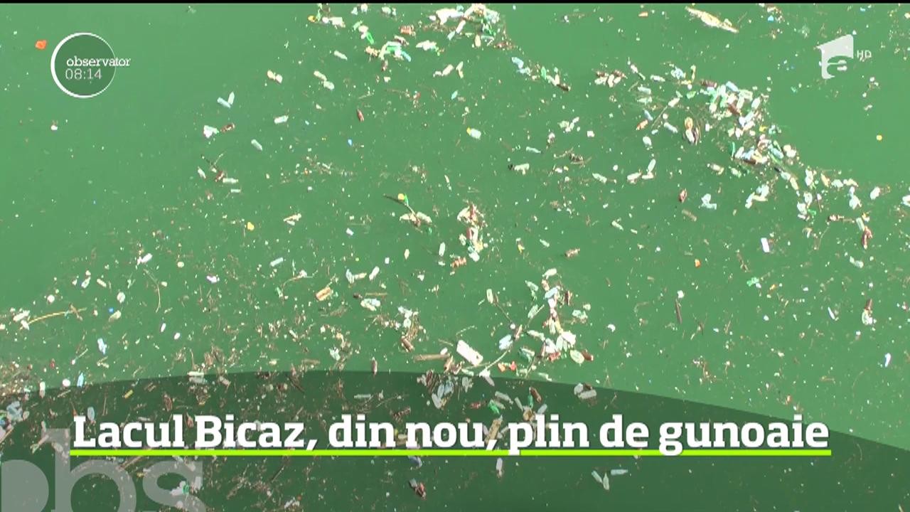 Imagini revoltătoare! PET-urile au invadat din nou Lacul Bicaz