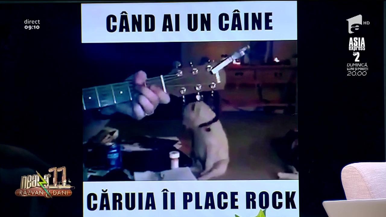Smiley News. C&acirc;nd ai un c&acirc;ine căruia &icirc;i place muzica rock