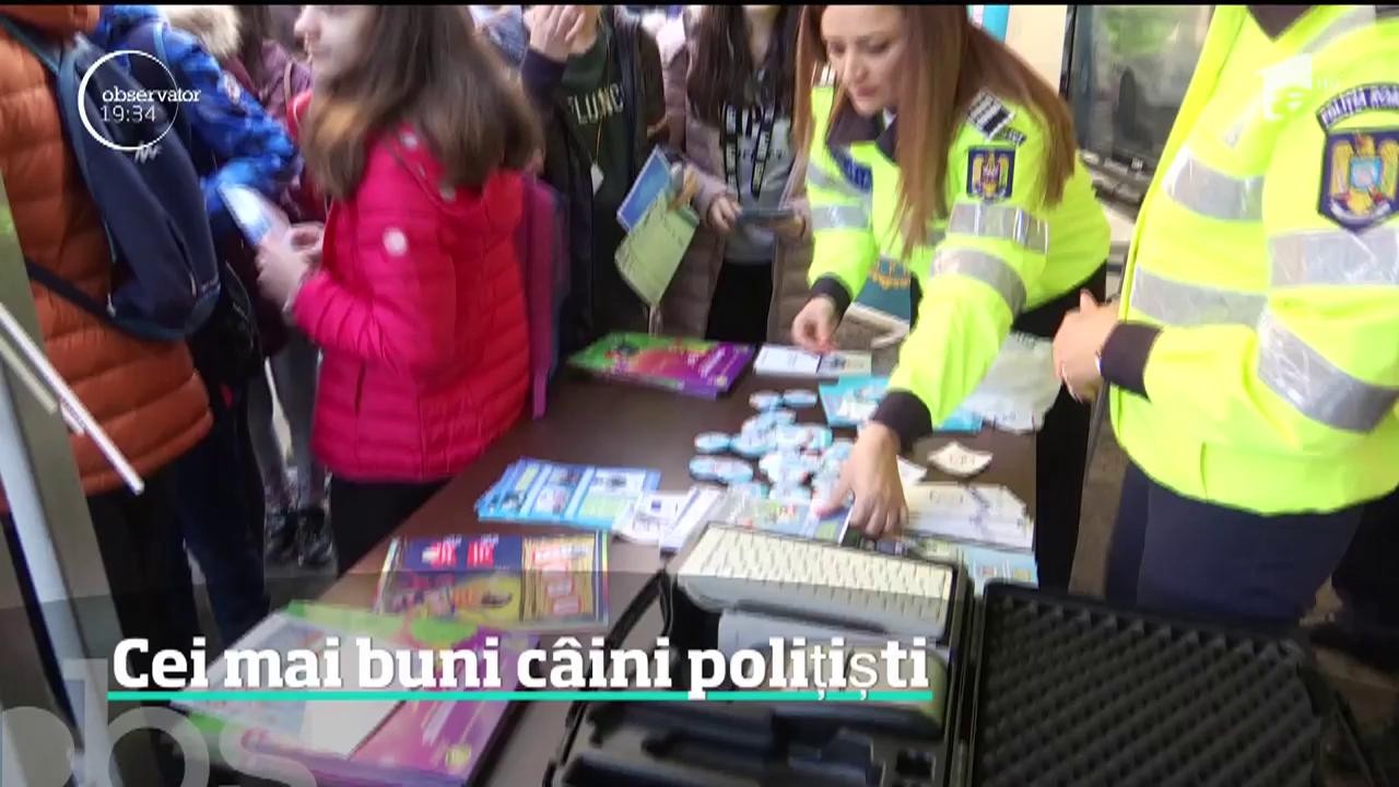 Cei mai buni c&acirc;ini polițiști din țară, medaliați