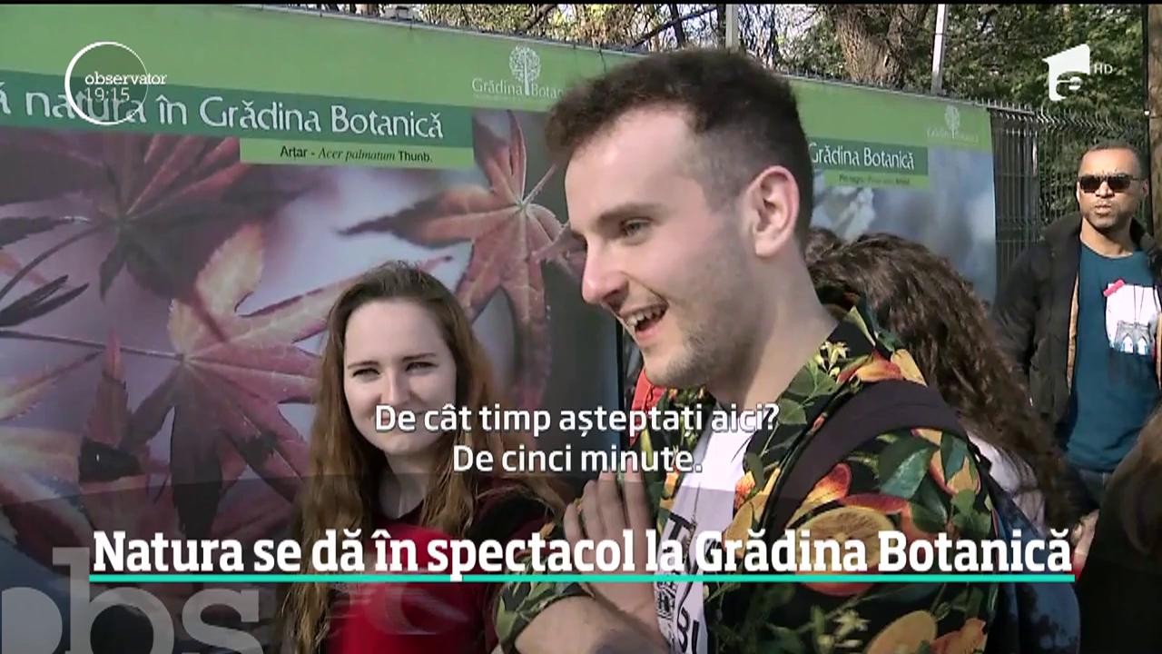 Natura se dă &icirc;n spectacol la Grădina Botanică din București. Totul este &icirc;nflorit, un decor perfect pentru o fotografie