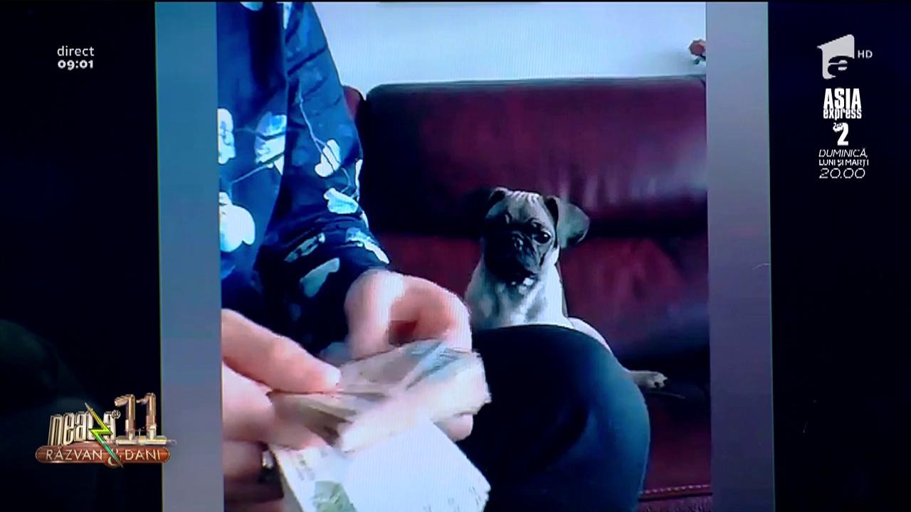 Smiley News. Cățelul care &icirc;și ajută stăp&acirc;nul să numere banii