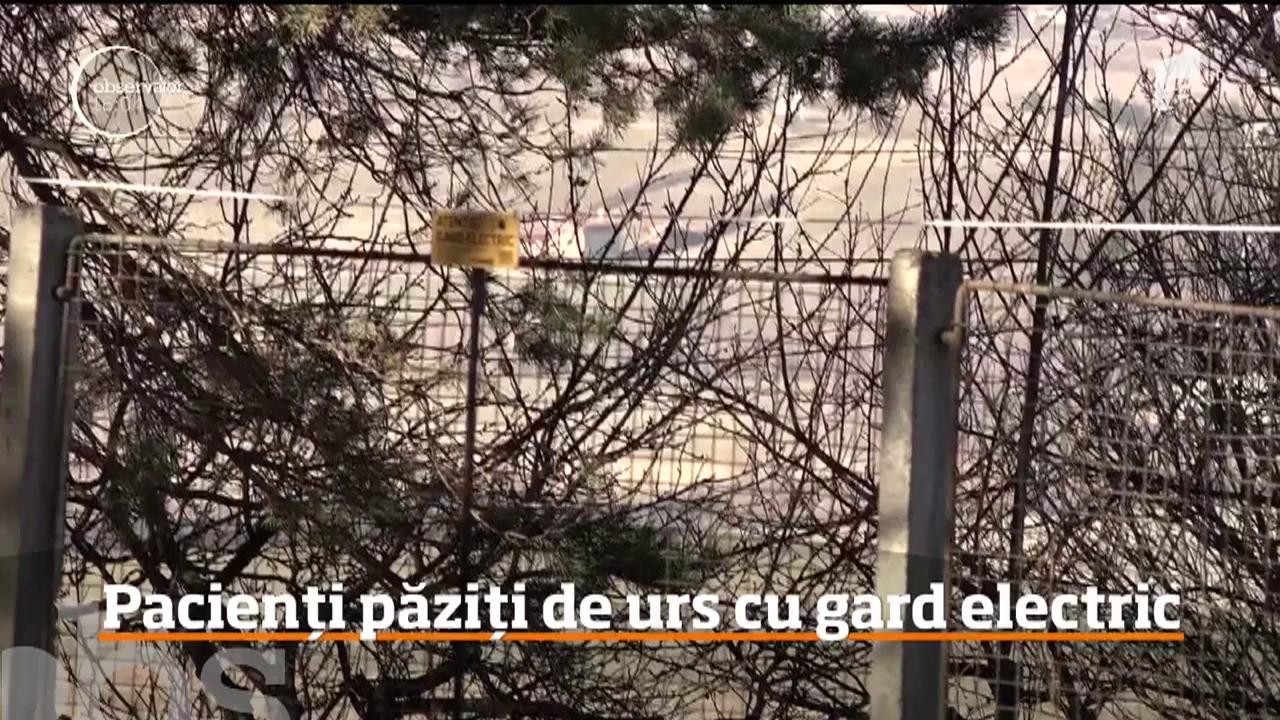 De teama urşilor, Spitalul Judeţean din Miercurea Ciuc a fost &icirc;mprejmuit cu un gard electric