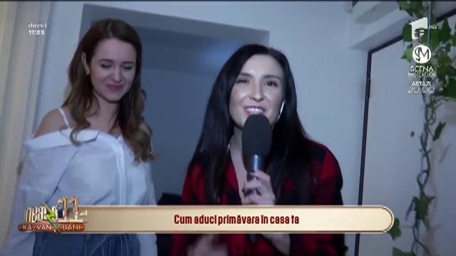Cum aduci primăvara &icirc;n casa ta! Cele mai populare culori &icirc;n amenajările interioare sunt bleu, roz și verde