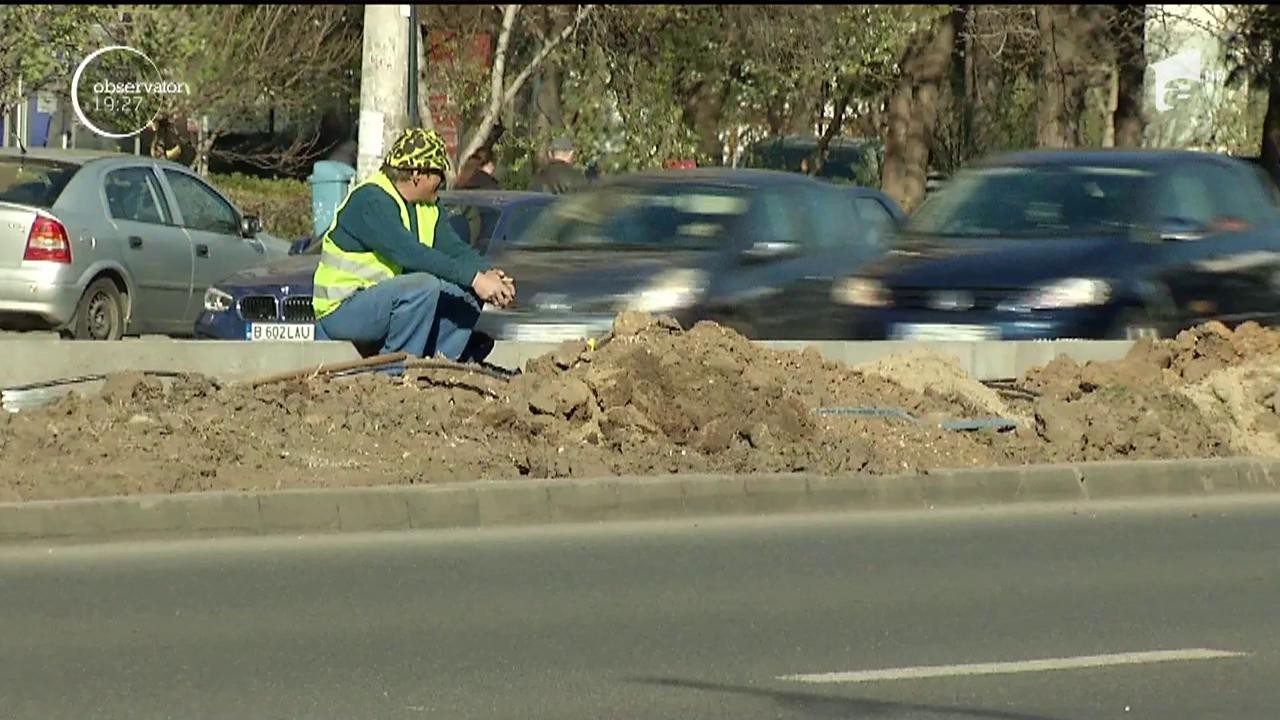 Barduri noi, &icirc;n locul pomilor &icirc;nfloriți. Acțiunea i-a &icirc;nfuriat pe bucureştenii