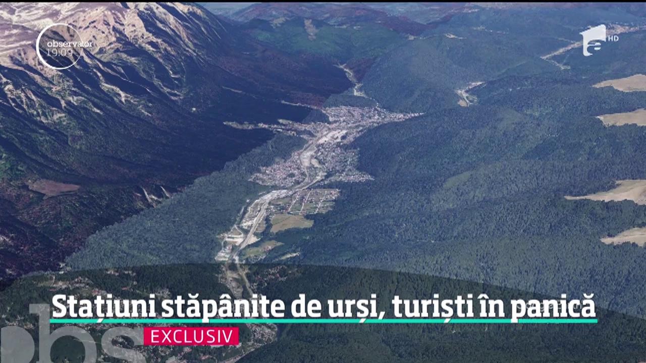 Imagini incredibile &icirc;n Buşteni şi Sinaia! Urşii au pus stăp&acirc;nire pe staţiuni, iar turiştii sunt avertizaţi să nu se plimbe pe jos