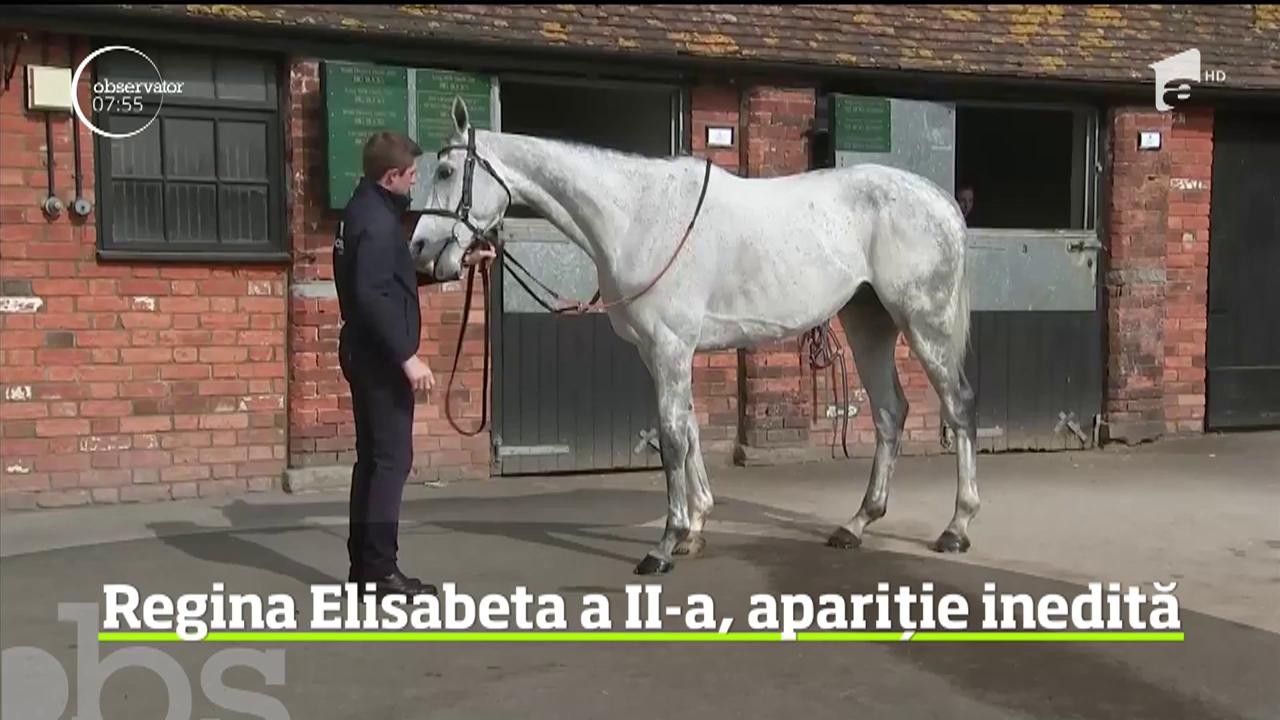 Regina Elisabeta a II-a s-a &icirc;ntors la marea sa iubire. Suveranul Marii Britanii a hrănit mai mulţi cai &icirc;n timpul primei sale vizite &icirc;n comitatul Somerset din ultimii şapte ani
